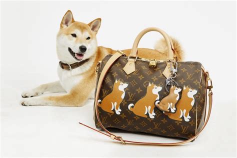 louis vuitton bag for dog|More.